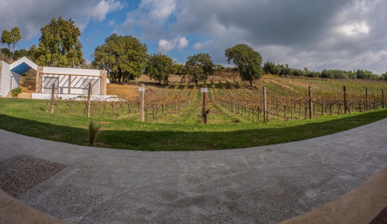 Ferienwohnung Atrium Vinea Brintziki Winery Smila Exterior foto